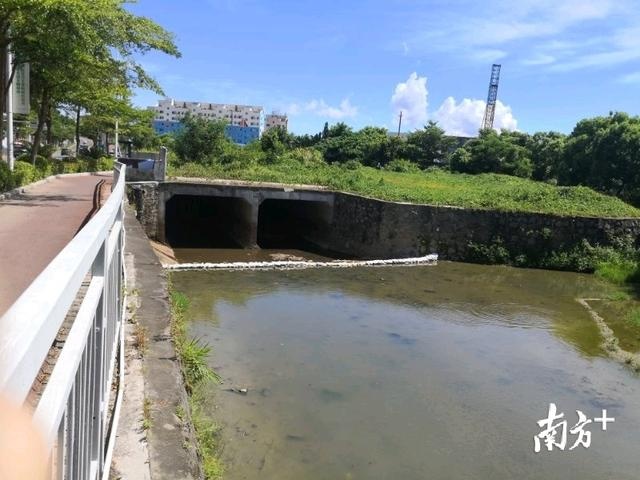 沙河最新动态，城市新脉动，活力四溢的未来蓝图
