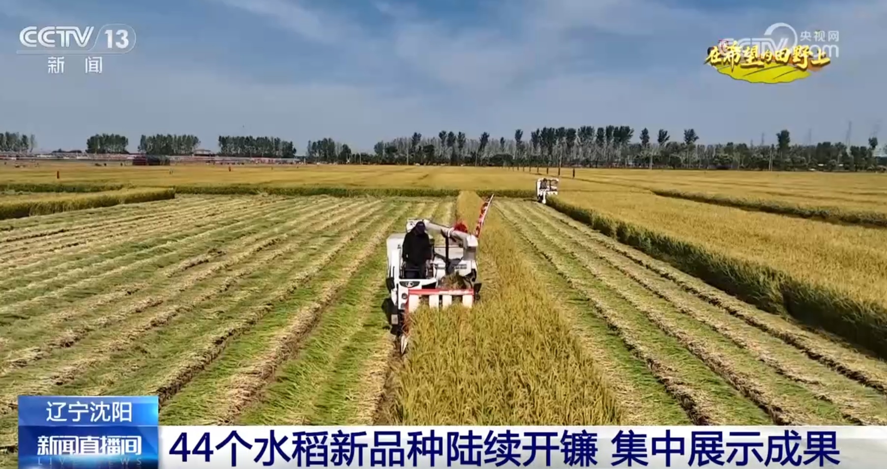 绿色革命席卷全球农业领域，最新农业新闻综述