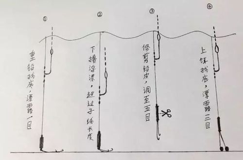 探索未知钓鱼领域，最新钓法与技巧体验垂钓乐趣