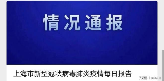 数码天空最新通知，揭示未来科技新篇章