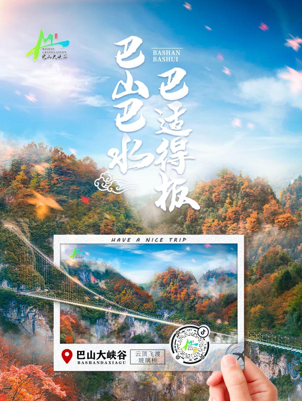 家园最新章节，心灵归宿与未来憧憬的展望