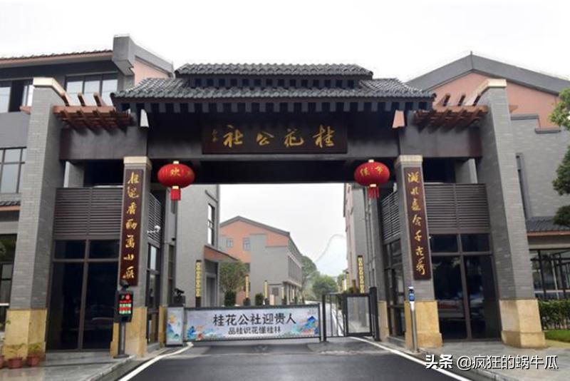 桃江最新房价动态，开启未来居住新篇章的探索