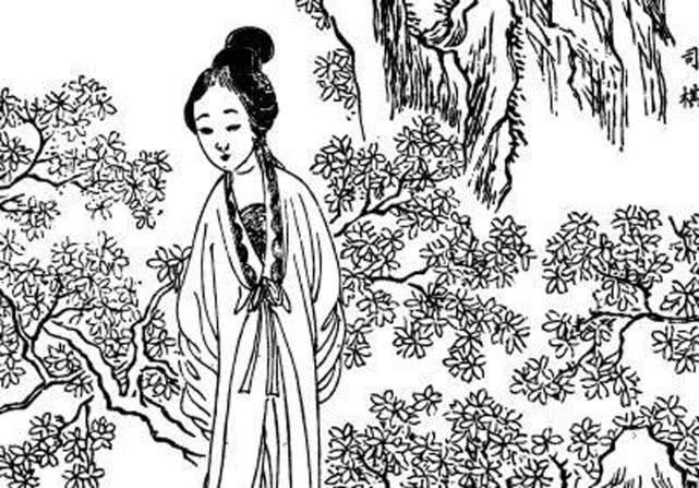 韩脉脉最新小说，奇幻之旅探索未知世界