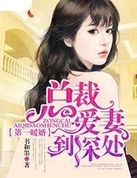 最新总裁完结小说，权力之巅的荣耀传奇