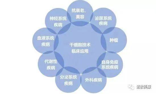 干细胞领域的新突破及最新消息与进展展望