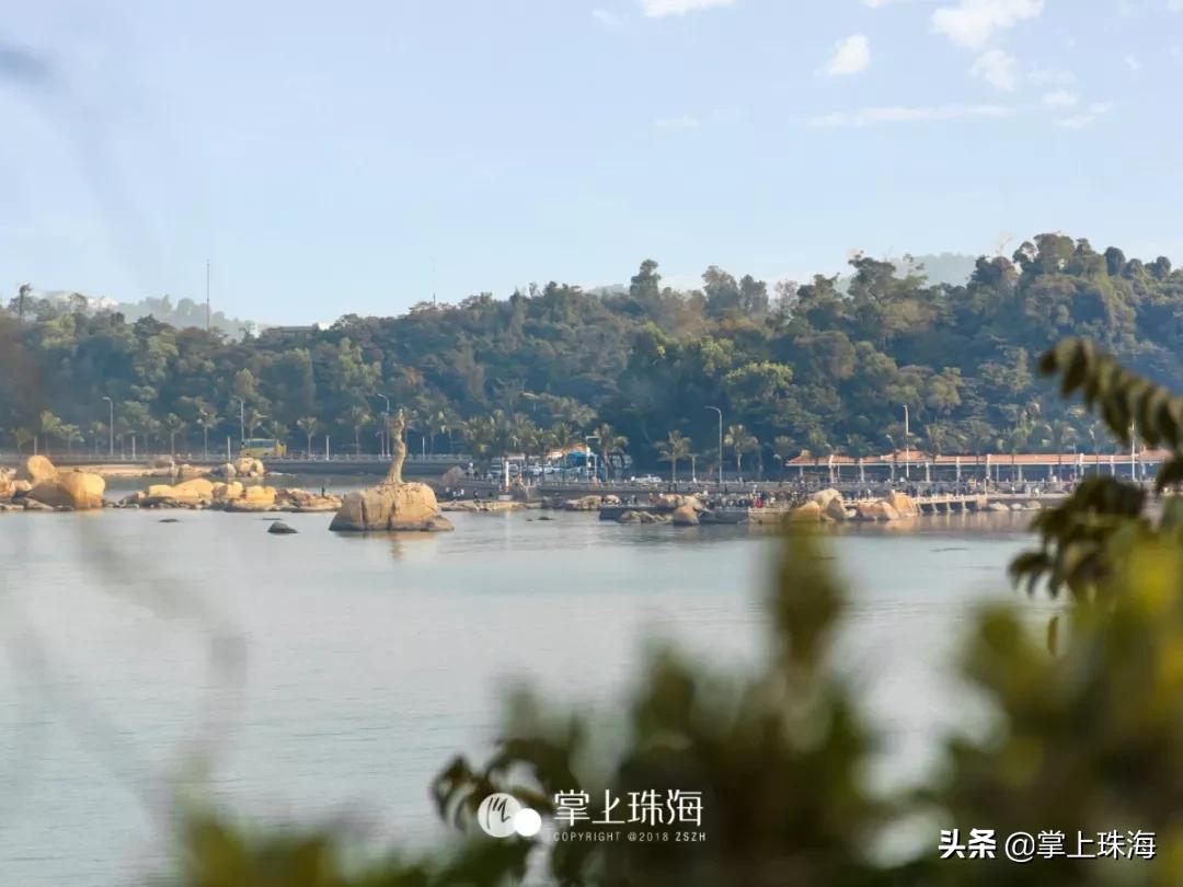 珠海入户政策解读，开放城市的包容与机遇最新解读