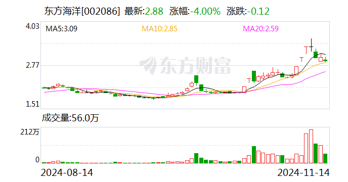 东方海洋股票动态更新，探索未来海洋经济蓝图发展之路