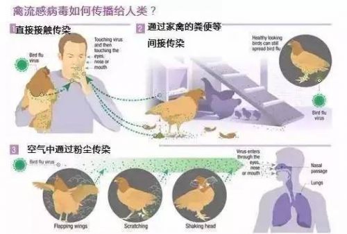 第1234页