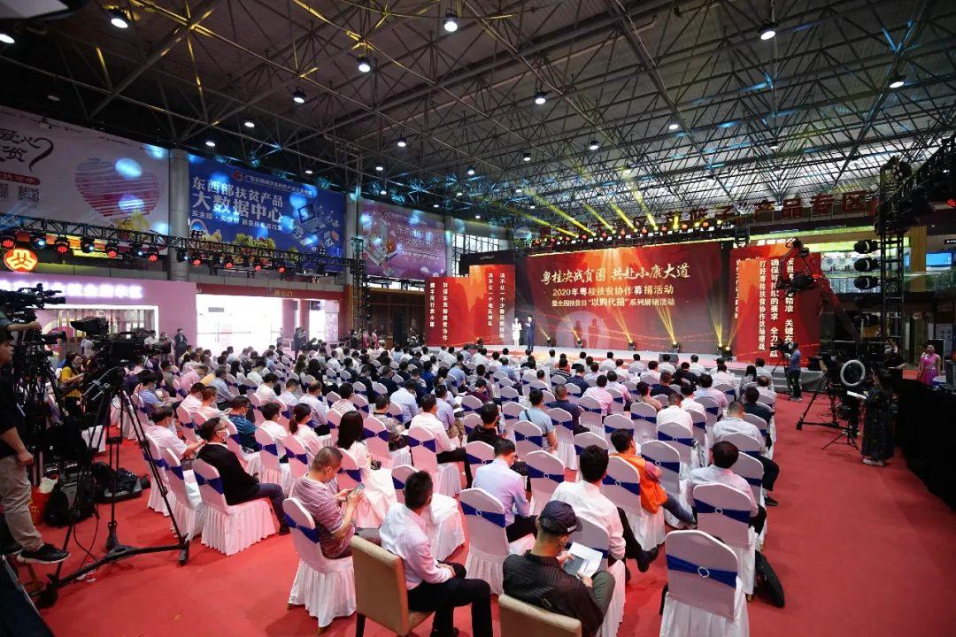粤桂股份创新引领，共创辉煌未来，最新消息与动态汇总