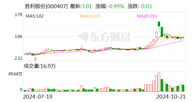胜利股份迈向未来，最新动态与机遇分析