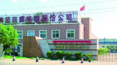 抚顺特钢崛起，引领未来钢铁巨擘发展之路