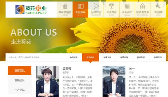 透明LED显示屏 第269页