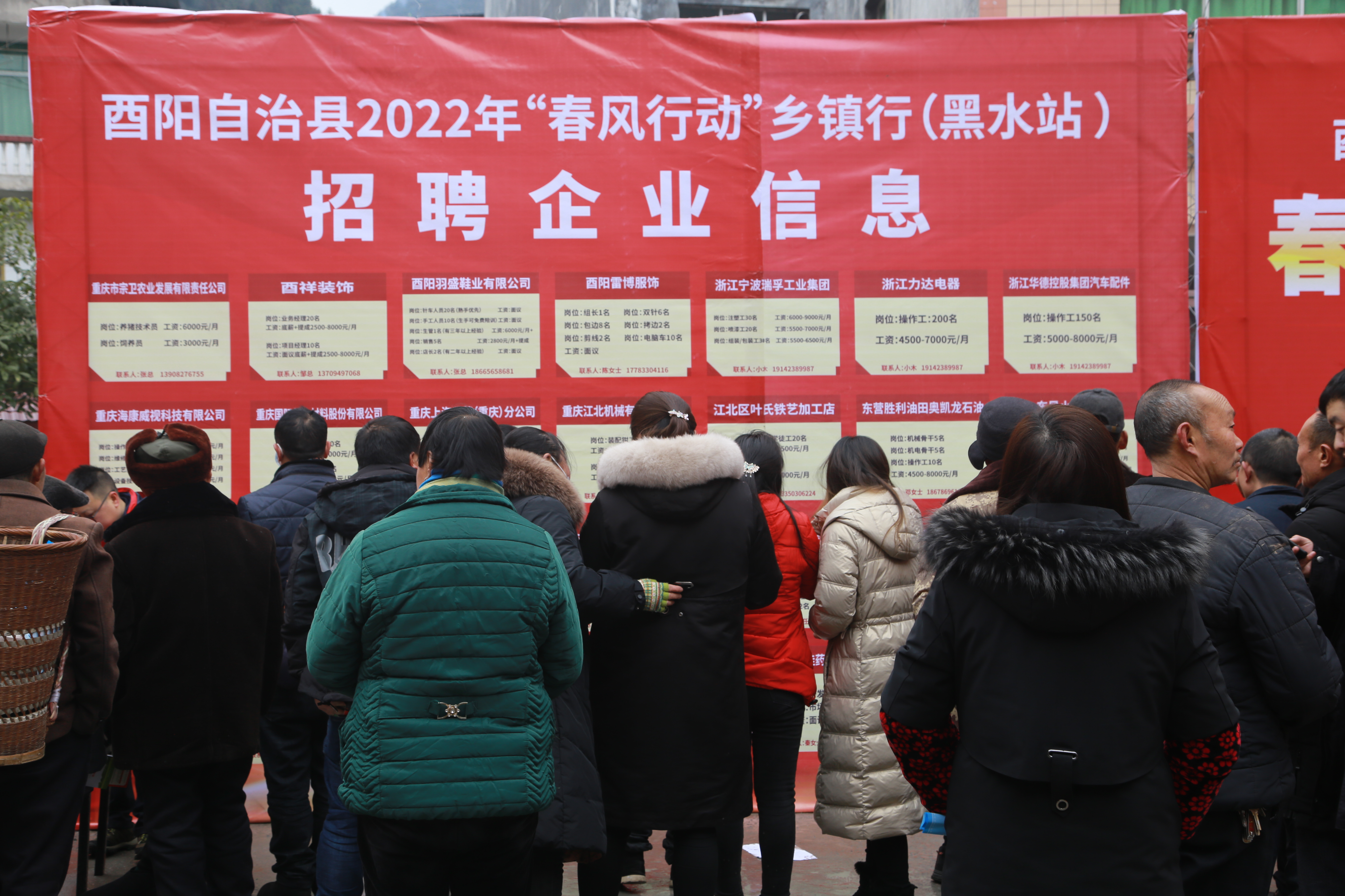 酉阳招聘网最新招聘信息，探寻职业发展无限机遇