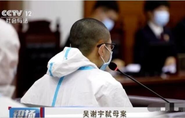 吴谢宇案最新进展揭秘，探寻真相之旅的迷雾逐渐明朗