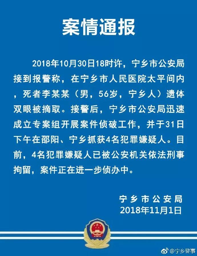 湖南油价调整最新动态，影响、分析与展望