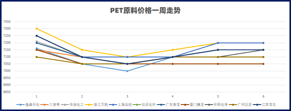 宠物市场最新报价动态深度解析，宠物价格行情最新报告