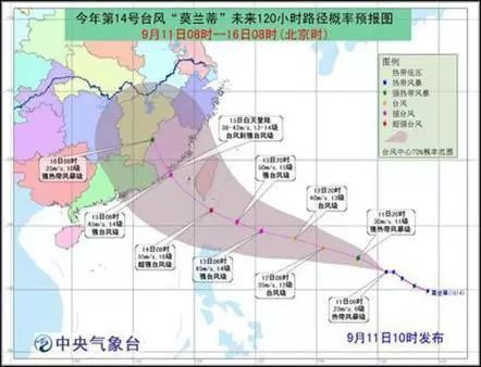 广州台风最新直播，风雨中的城市实时动态