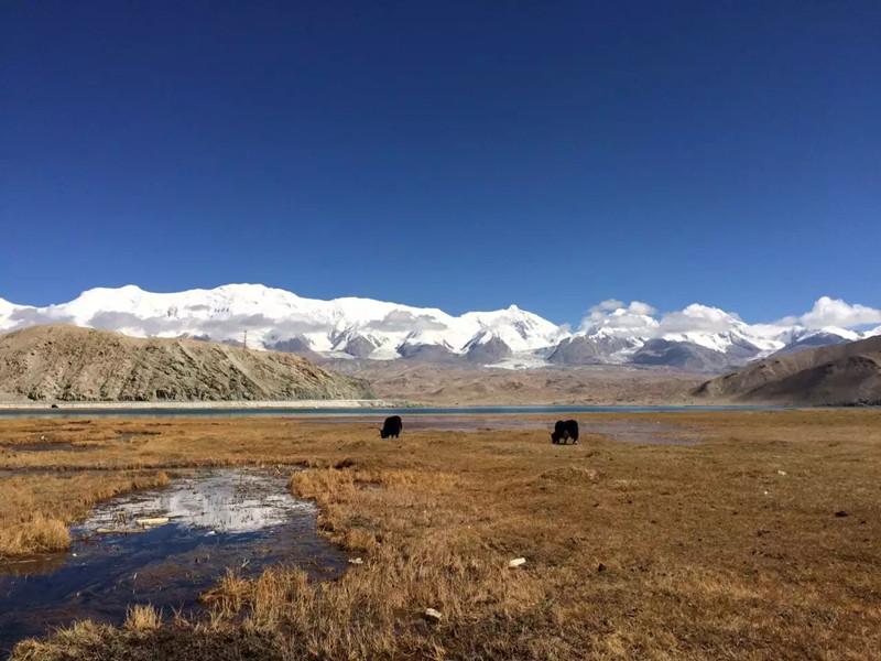 新疆旅游疫情最新动态，疫情下的新疆旅游新篇章