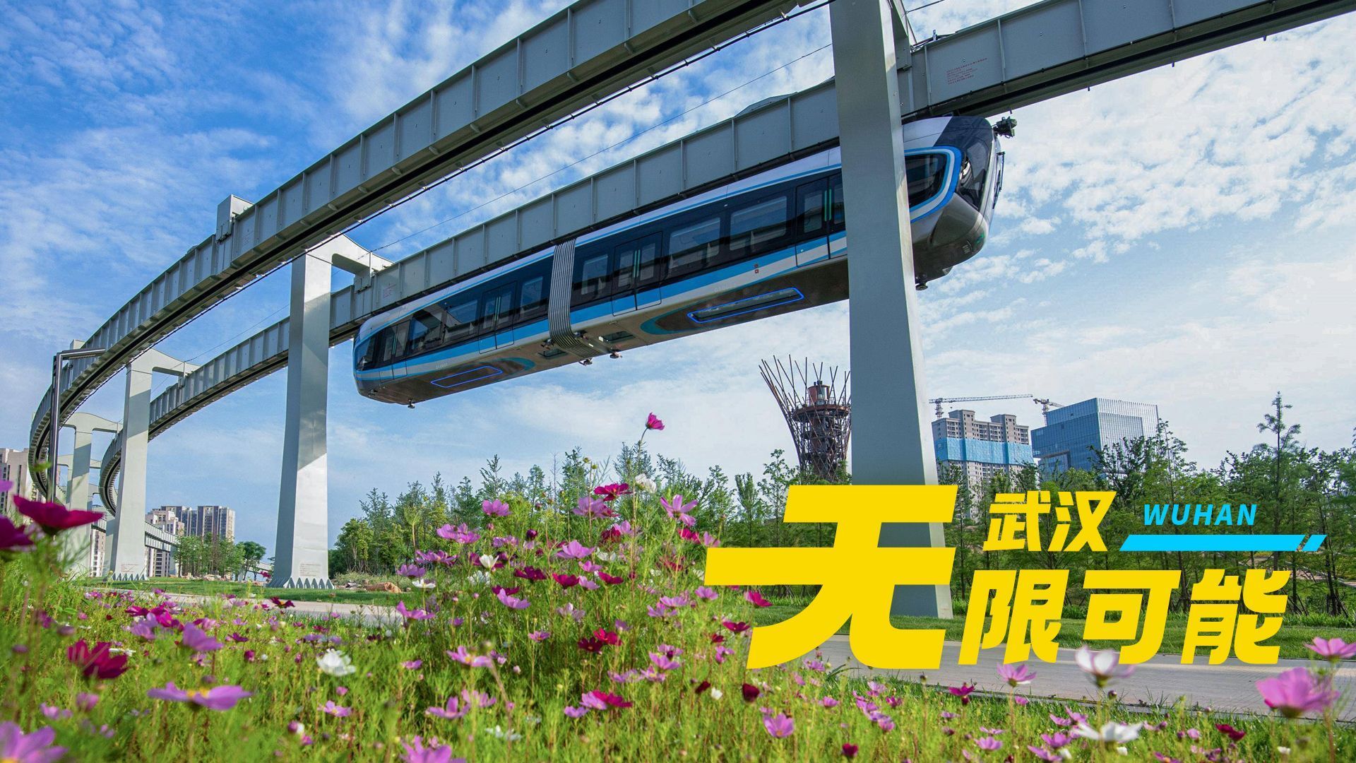 武汉最新官宣，未来城市新篇章正在谱写