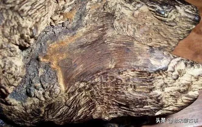 透明LED显示屏 第210页