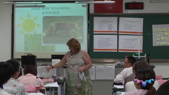 最新教学理念重塑教育未来，让每个学生绽放独特光彩