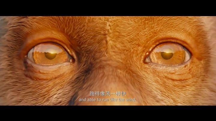 电影道士下山，奇幻之旅的探险传奇