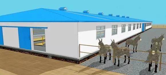 北方驴舍最新建设效果图，打造舒适家园，护航驴群健康