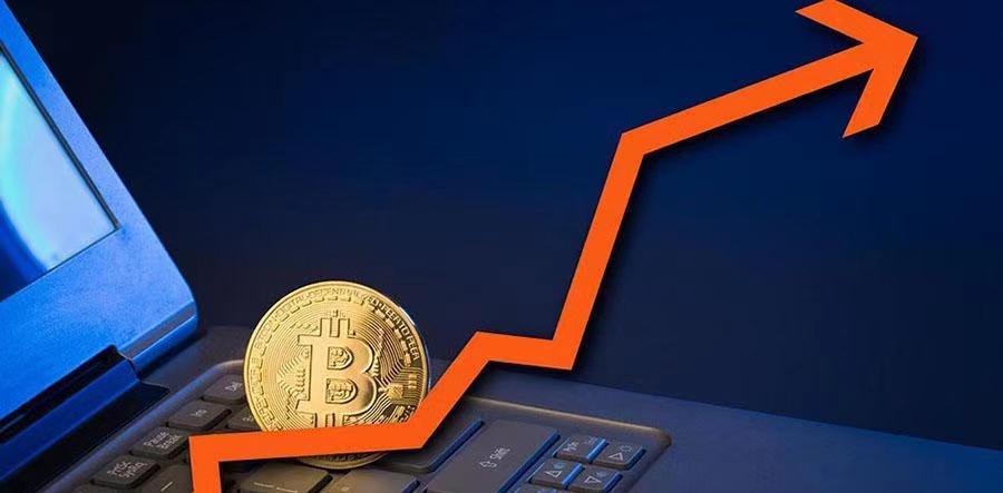 蚂蚁币行情分析，数字货币未来趋势的洞察