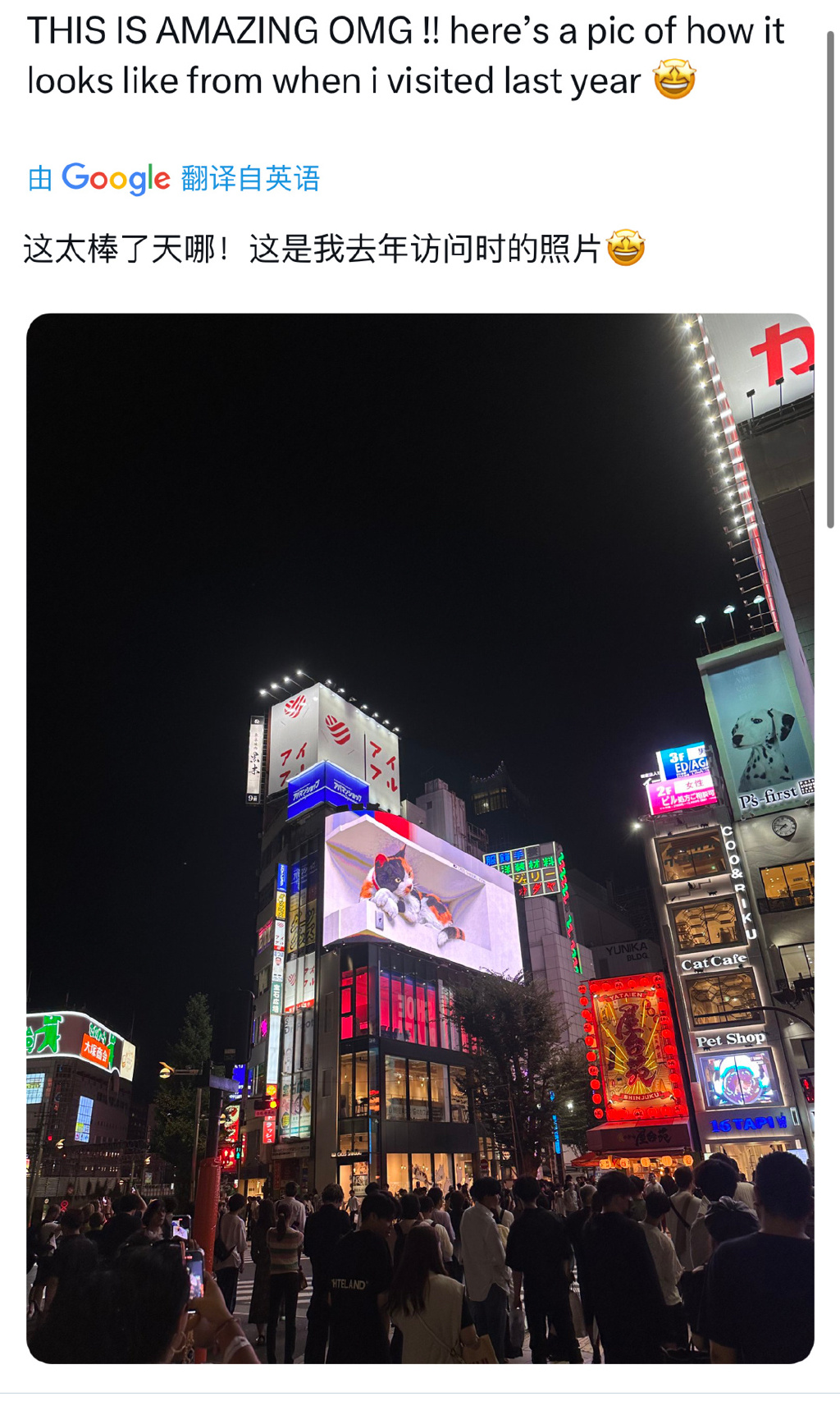 繁华东京N985，都市脉搏与青年梦想舞台