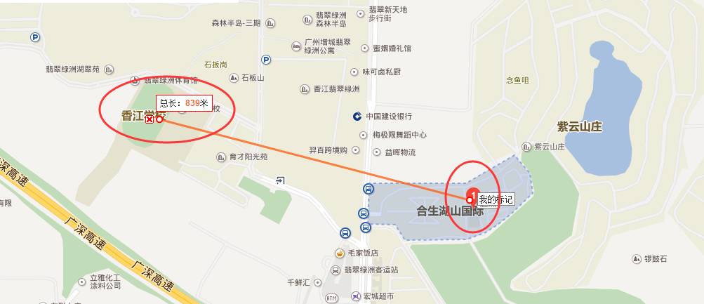 湖山国际华师最新动态，引领教育创新，塑造未来之光之星。
