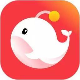 四最新域名，探索未知网络新领域的冒险之旅
