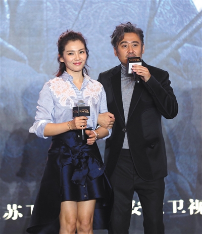 刘涛与李晨的荧幕魅力，电视剧背后的启示与启示一部佳作的故事。