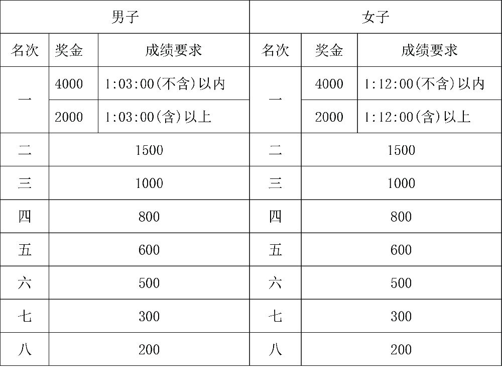 比赛奖金发放表，荣耀与努力的见证时刻