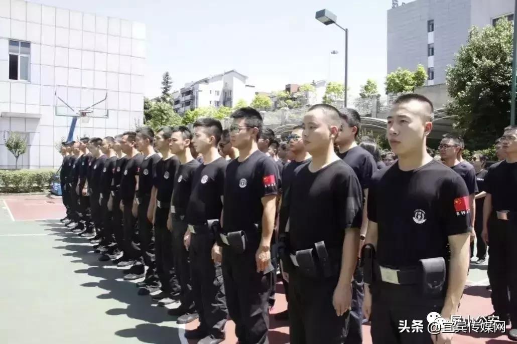 屏山招聘信息大揭秘，探寻职业发展的新天地！