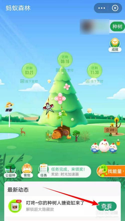 蚂蚁森林全新玩法探索，共创绿色能量，共建美好未来