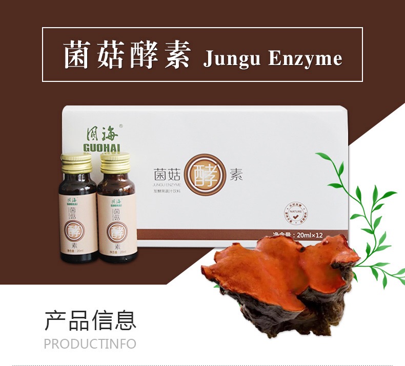 牛樟芝价格揭秘，珍稀与价值交织背后的故事