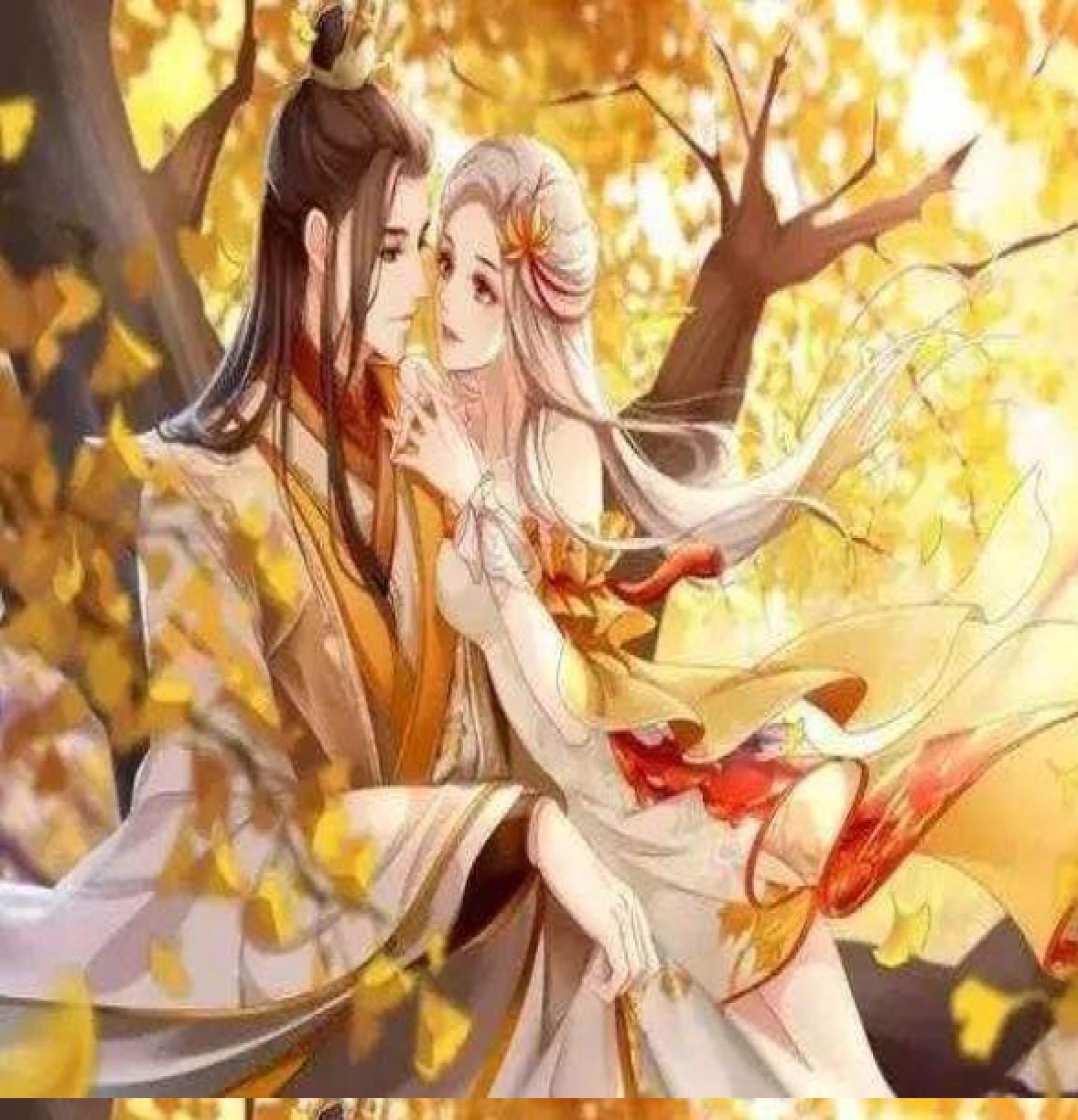 第一狂妃最新章，奇幻之旅的震撼开篇