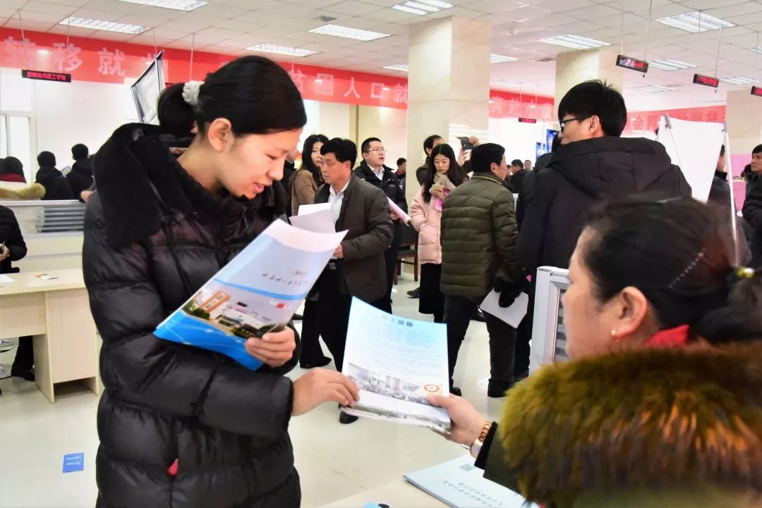 肥乡最新招聘信息揭秘，职业发展盛宴正式开启！