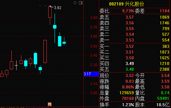 兴化股份引领行业变革，共创辉煌未来新动态