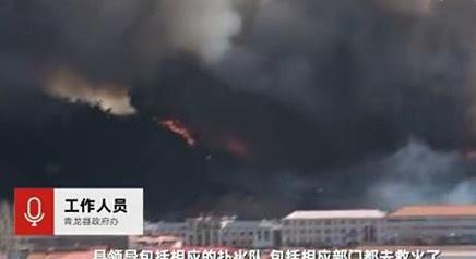 秦皇岛火灾最新消息，城市安全与应急救援警钟再次敲响