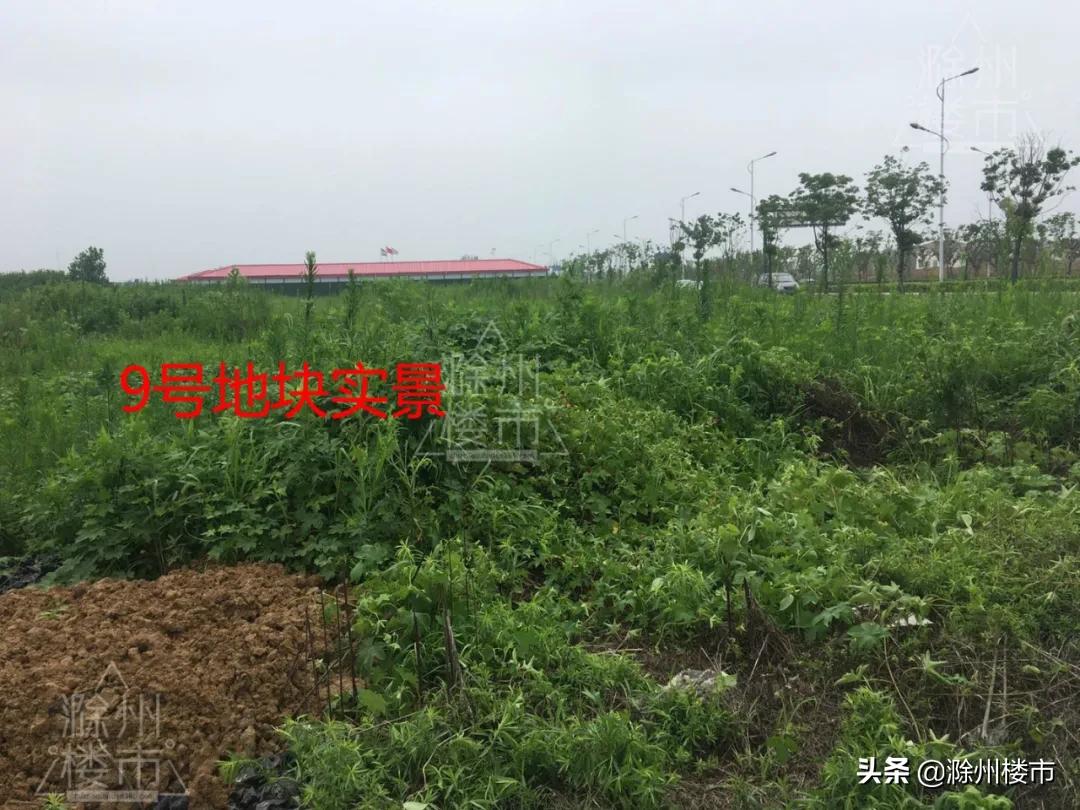 滁州乌衣新篇章，最新规划引领未来发展之路