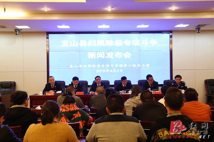 龙山新闻网新动态，城市新脉动引领时代风潮
