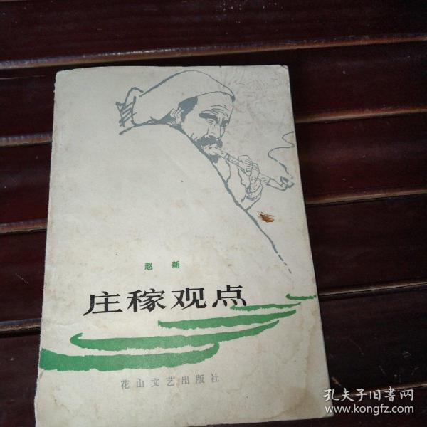 庄最新视频探索奇幻世界的未知奥秘