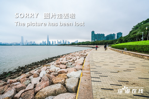 戴旭最新动态，探索未知，引领时代潮流新思考
