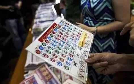 香港最新开奖结果揭秘，探索彩票背后的故事
