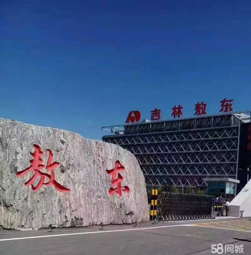 佛山市镓友电子 第116页
