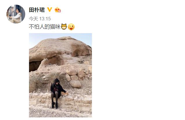 王石最新动态，探索未知，勇往直前