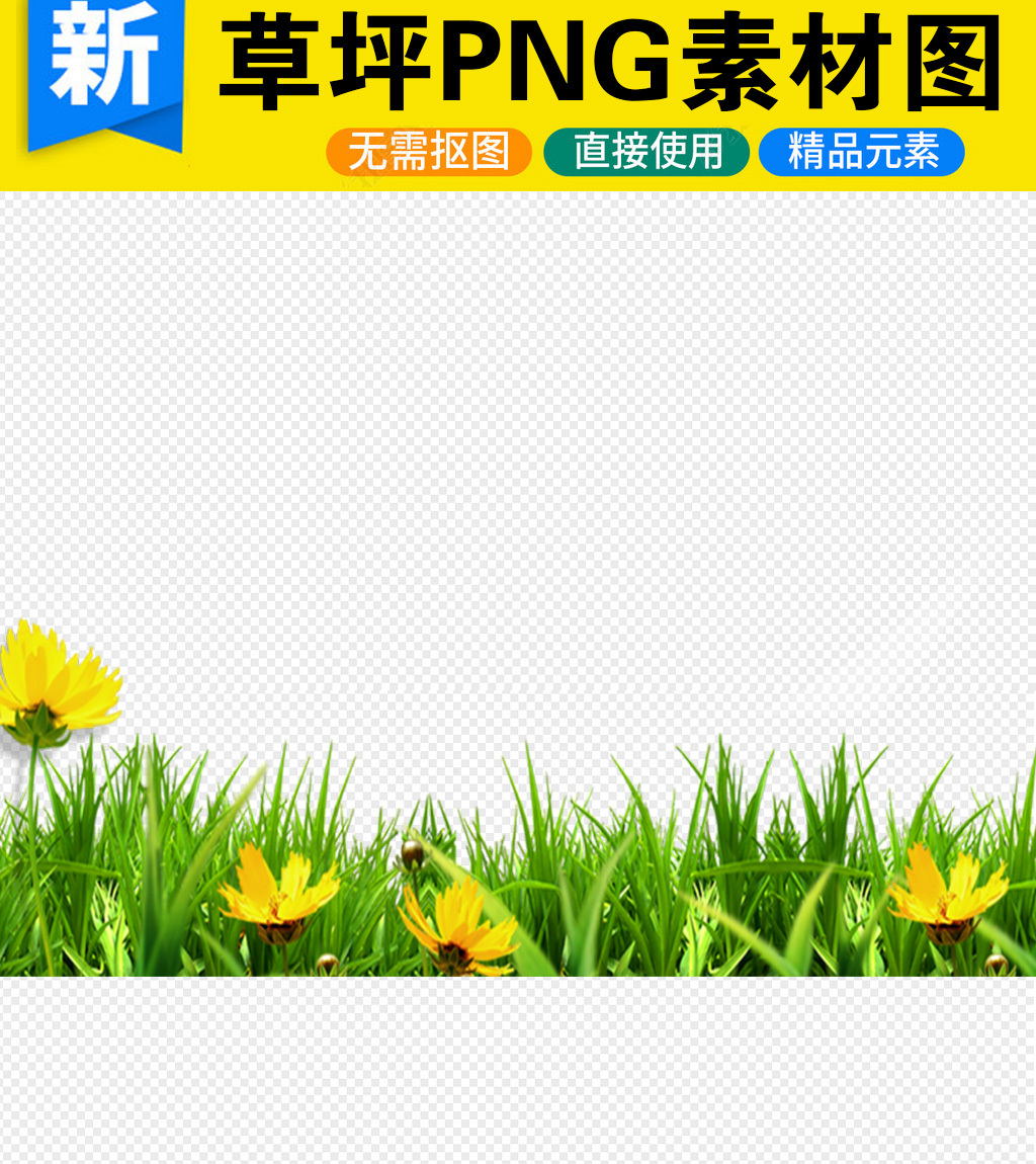 探索小草的奥秘，最新数字之旅启程