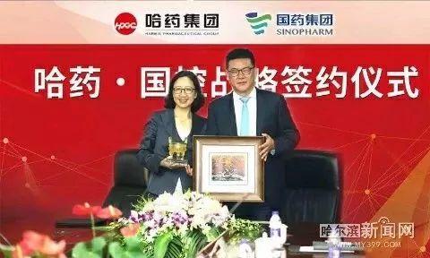 国药股份，迈向健康产业未来，领航者新动态揭秘