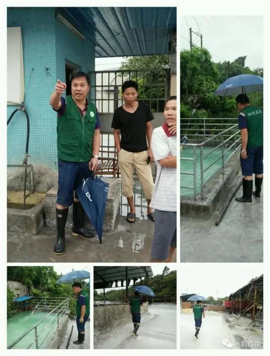台帕卡风最新动态，自然之舞吸引全球关注